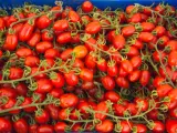 Tomate Datterino