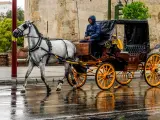 Un coche de caballo pasea por el Paseo de Colón (Sevilla) a pesar de la lluvia.