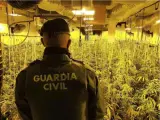Un agente de la Guardia Civil delante de una plantación de marihuana en una foto de archivo.