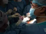 Jesús, el primer bebé nacido gracias a un trasplante de útero en España