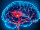 Las drogas pueden alterar zonas importantes del cerebro que son necesarias para funciones vitales y pueden impulsar el consumo compulsivo propio de la drogadicción.