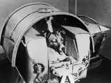 Laika fue el primer ser vivo en orbitar alrededor de la Tierra.
