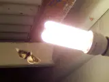 Una polilla volando junto a una lámpara.