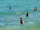 Personas y perros ba&ntilde;&aacute;ndose juntos en la playa para perros de la capital catalana.