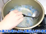 'Youtuber' japonés cocinando medusas mortales.