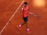Djokovic celebra su punto ganador de partido ante Davidovich.