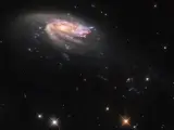 Galaxia medusa JO206
