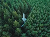 Avión en el bosque