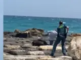 La Guardia Civil abate a un jabalí en una playa de Alicante
