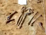 Restos del esqueleto del ave acuática de 3,1 millones de años en Caldes de Malavella.