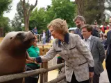El Alcalde de Madrid, José Luis Martínez-Almeida, y la Reina Sofía acarician a un león marino durante su visita al Zoo Aquiarium de la capital