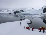 Actividades para conocer de cerca el asombroso entorno de la Antártida.