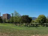 Playa verde en un parque de Bilbao.