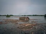 Inundaciones en la región de Jersón, en el sur de Ucrania, tras la destrucción de la presa de Kajovka