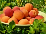 El melocotón es la octava fruta más consumida en España en 2021, según los datos del informe del Ministerio de Agricultura, Pesca y Alimentación. Fueron 2,5 kilos por persona al año.