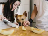 El mel&oacute;n es una golosina saludable gracias a su fibra y agua, pero debe controlarse su consumo en perros con obesidad o diabetes.