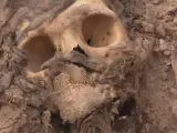 Restos de una momia prehispánica con unos 3.000 años de antigüedad encontrada en Perú.