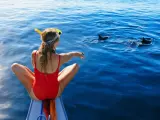 Una de las mejores playas del mundo para ver delfines está en España según Booking