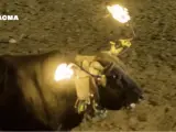 Un toro estuvo quemándose en un festejo en Teruel durante más de un minuto