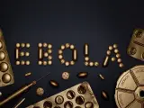 Hay cinco cepas distintas del virus del Ébola con nombres de lugares de África: Zaire, Bundibugyo, Sudán, Reston y Tai Forest. La primera de ellas es la más peligrosa, con una mortalidad del 90%, y también la que más se extiende por el continente africano.