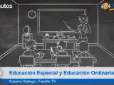 Educación especial frente a educación ordinaria para personas con discapacidad en España