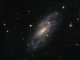 La imagen de una supernova en una galaxia espiral capturada por Hubble es clave para comprender el origen de algunos elementos químicos.