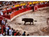 Corrida de toros en Navarra.