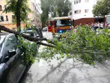 fotografo: Jose Gonzalez [[[PREVISIONES 20M]]] tema: Caída de una rama de árbol sobre un coche
