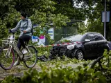 Muere una mujer al caer un árbol sobre su coche por la tormenta en Países Bajos.