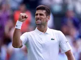 Novak Djokovic celebra un punto ante Jordan Thompson en Wimbledon.