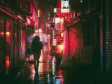 Calle en Japón con numerosos luminosos de color rojo.