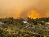 LLamas cerca de una vivienda en el incendio forestal declarado en la Palma.