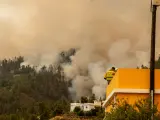Miembros de las Brigadas de Refuerzo en Incendios Forestales (BRIF) trabajan en las labores de extinción del incendio forestal declarado en La Palma.