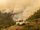 Humo provocado por el incendio forestal de La Palma