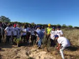 El presidente de la Junta, Juanma Moreno, participando junto a trabajadores y jóvenes voluntarios en la replantación