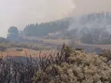 Incendio de Gran Canaria