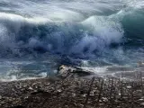 Un tsunami es una ola de enormes dimensiones provocada por un seísmo o una erupción volcánica submarina, capaz de arrasar con todo lo que se encuentra en su camino, por lo que en un sueño tiene una fuerte carga psicológica que necesita ser analizada.