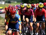 Demi Vollering pedalea junto al pelotón en una etapa del Tour de Francia.