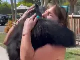 El chimpancé cuya vida salvó un matrimonio, al reencontrarse con ellos.
