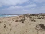 Espacios dunares en La Manga del Mar Menor.