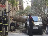 Operarios tratan de retirar la palmera que ha caído sobre una joven en el barrio de Ciutat Vella de Barcelona.