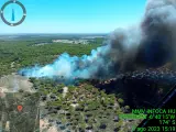 Más de 70 efectivos trabajan para extinguir un incendio declarado en un paraje de Bonares.
