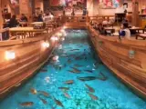 El restaurante japonés 'Zauo', donde los comensales deben pescar su propia comida.