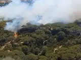 Incendio en Puerto Real.
