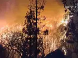 Alerta por el incendio forestal de Tenerife: tiene mucha fuerza y la orografía del terreno dificulta su extinción