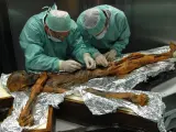 Análisis del contenido estomacal de Ötzi, el Hombre de los Hielos.