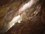 Cuevas del Drach en Porto Cristo, Mallorca.