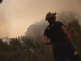 El incendio forestal declarado en el municipio de Arafo, en Tenerife.