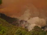 Llamas, en el monte, de un incendio forestal, a 16 de agosto de 2023, en Tenerife (España). Anoche se declaró un incendio forestal en Tenerife entre las localidades de Candelaria y Arafo. Lo que ha obligado a evacuar los municipios de Arrate, Chivisaye, Media Montaña y Ajafoña. Además se han cortado las carreteras TF 23 entre Las Lagunetas y El Portillo y la TF 523 Carretera Los Loros, ha informado el Cabildo de Tenerife. Por ahora son 180 las hectáreas afectadas y 13 medios aéreos trabajando en las labores de extinción. El Gobierno de Canarias ha solicitado al Ministerio para la Transición Ecológica y el Reto Demográfico la movilización de tres hidroaviones para combatir el fuego...16 AGOSTO 2023;INCENDIO;INCENDIO FORESTAL;UME;FUEGO;HUMO;MALEZA;BOSQUE;NATURALEZA;..Europa Press..16/08/2023[[[EP]]]