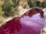En septiembre del año pasado la laguna de Colmenar de Oreja apareció teñida de color rojo.